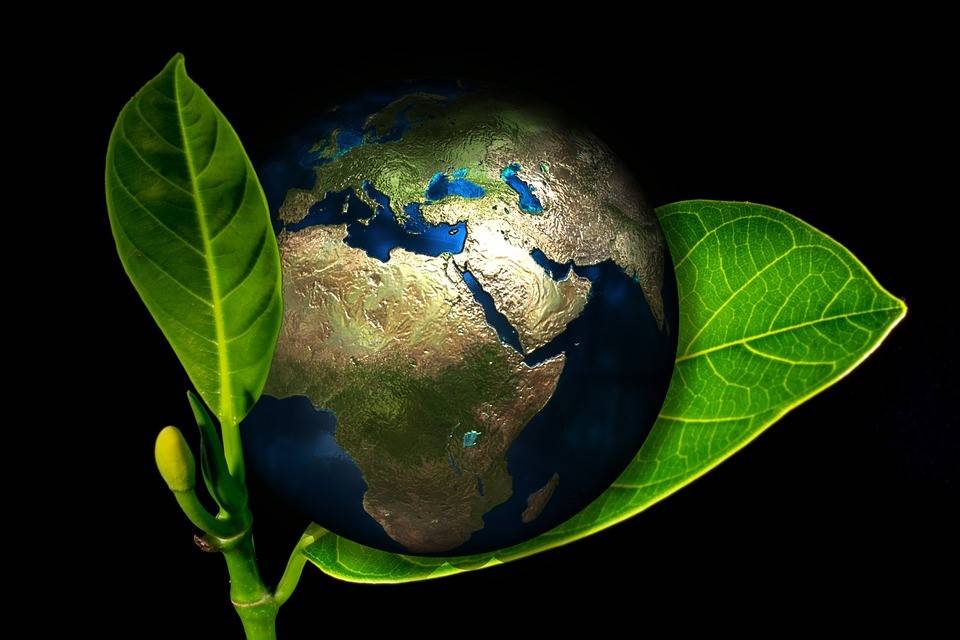 Environment Worldonaleaf