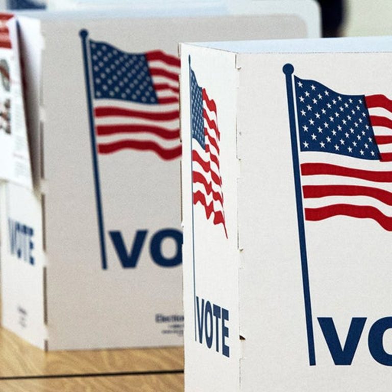 Elections and the Muslim Vote